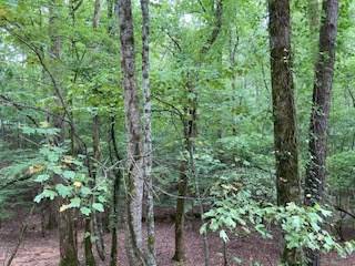 Ellijay, GA 30540,LOT 3093 Monocle Drive