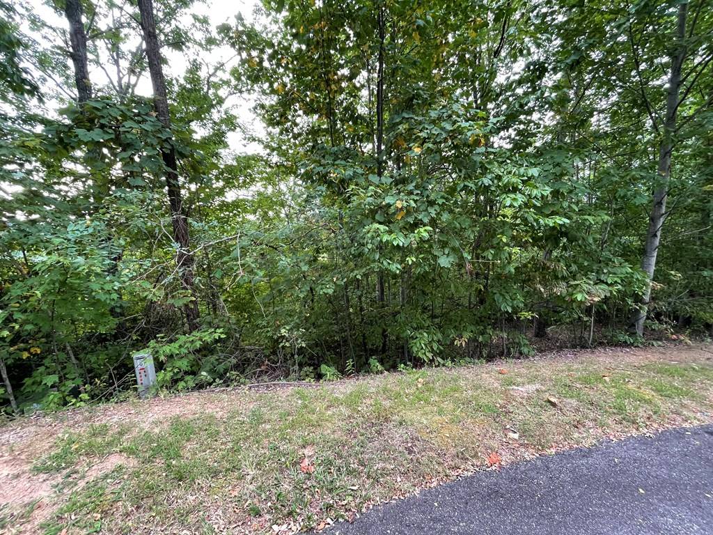 Hayesville, SC 29804,Lot 32 J Mountain Harbour Lot