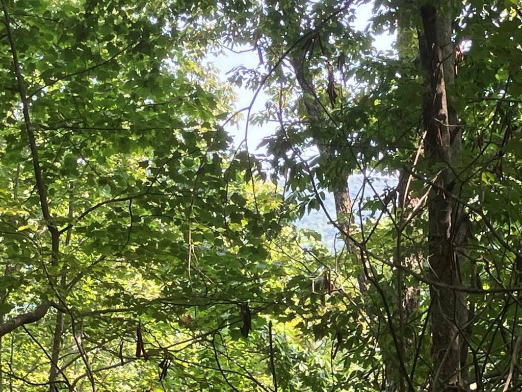Murphy, NC 28906,5.8 Copper Creek Road