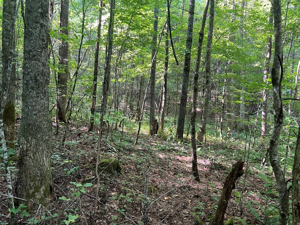 Murphy, NC 28906,0 Rj Mountain View Drive