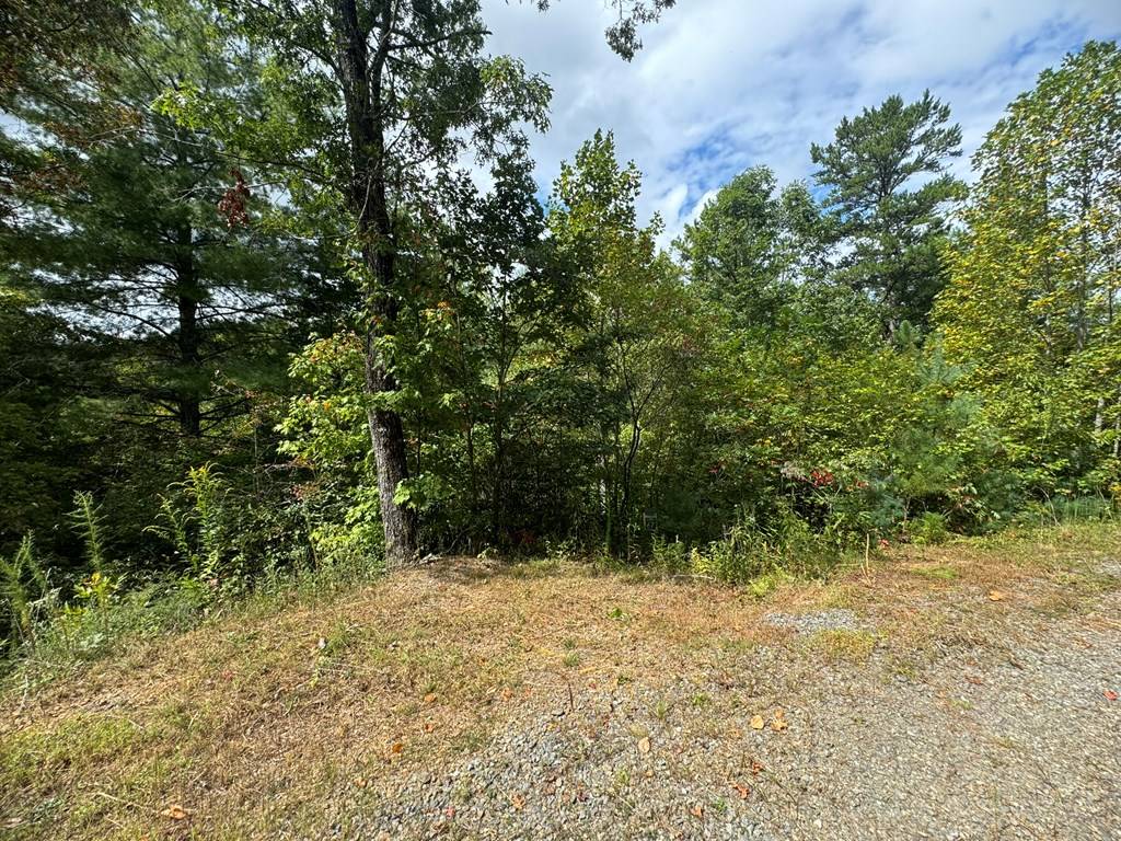 Murphy, NC 28906,Lot 67 Mason Creek Lane