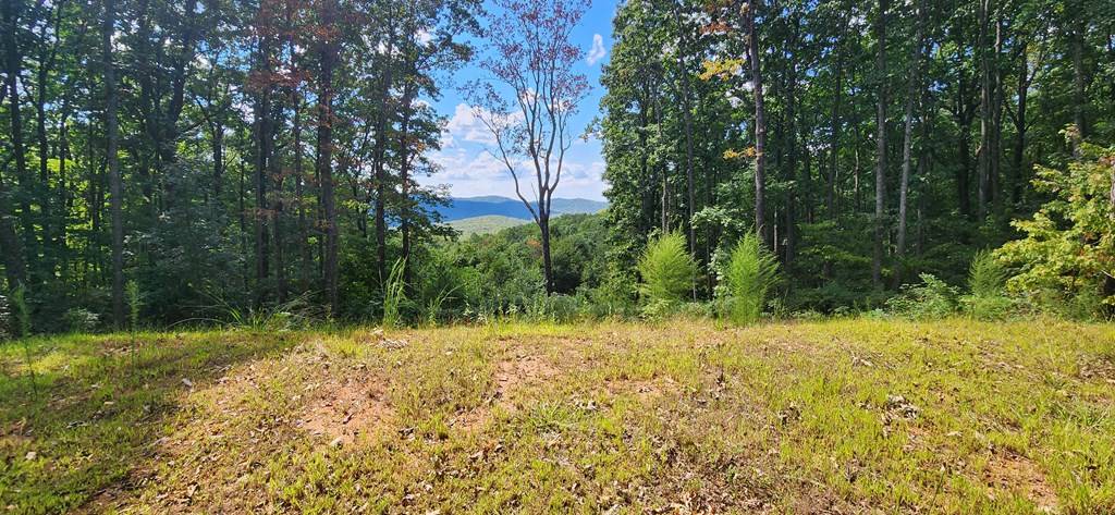 Ellijay, GA 30536,2234 Piney Spur Road