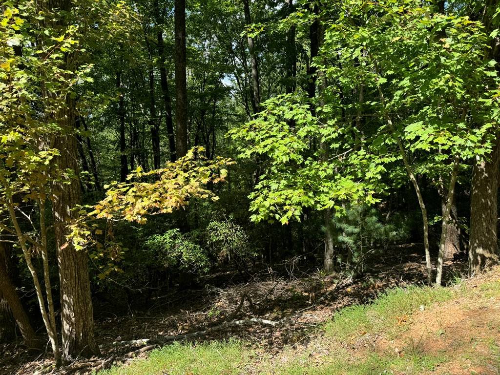 Ellijay, GA 30536,Lot M42 Sleepy Hollow Road