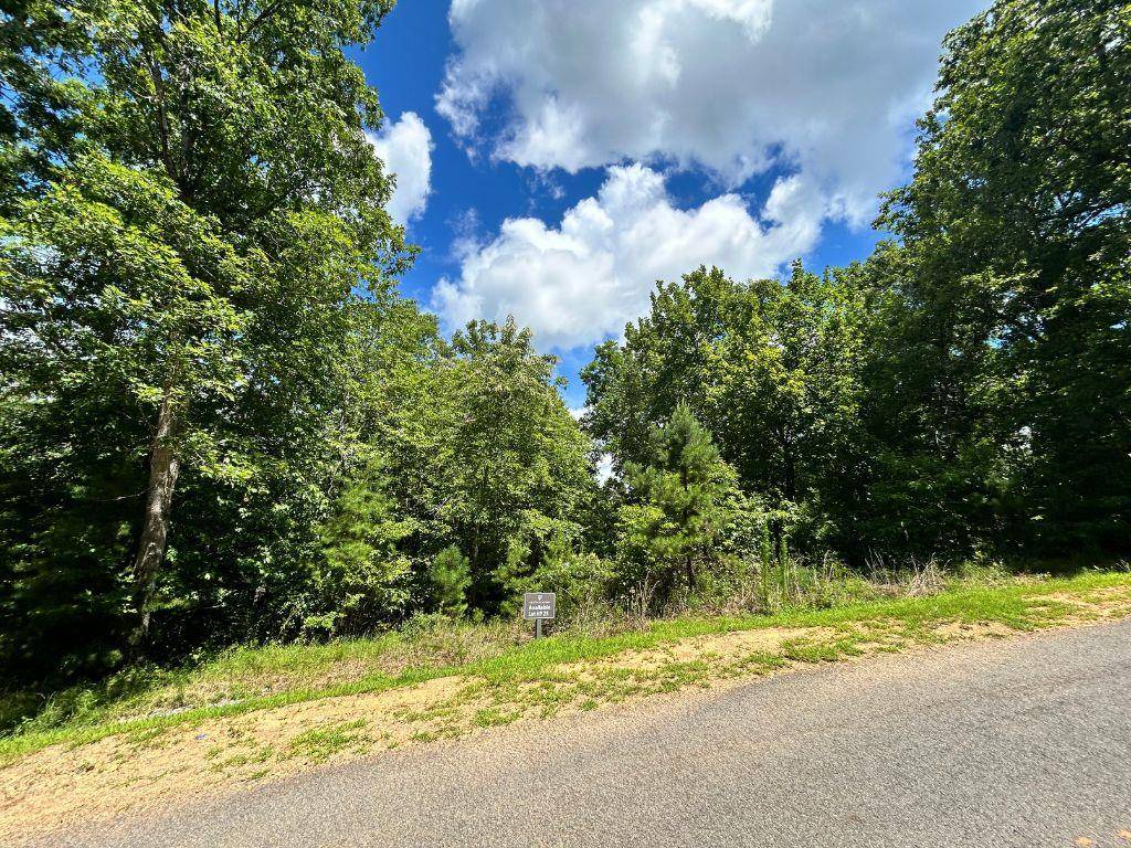 Mineral Bluff, GA 30559,HP25 Old Toccoa Loop