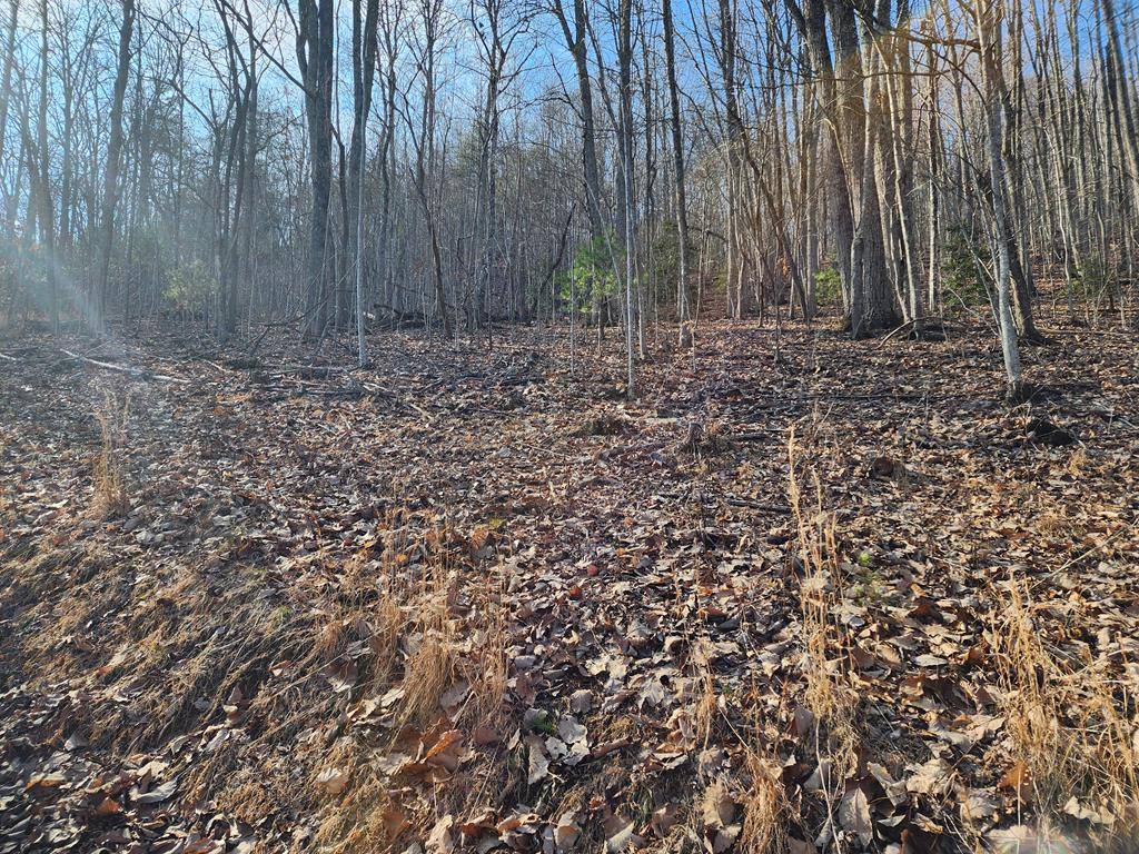 Young Harris, GA 30582,Lot 27 True Love Mountain Road