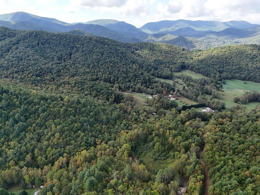 Hiawassee, GA 30546,00 Mill Creek