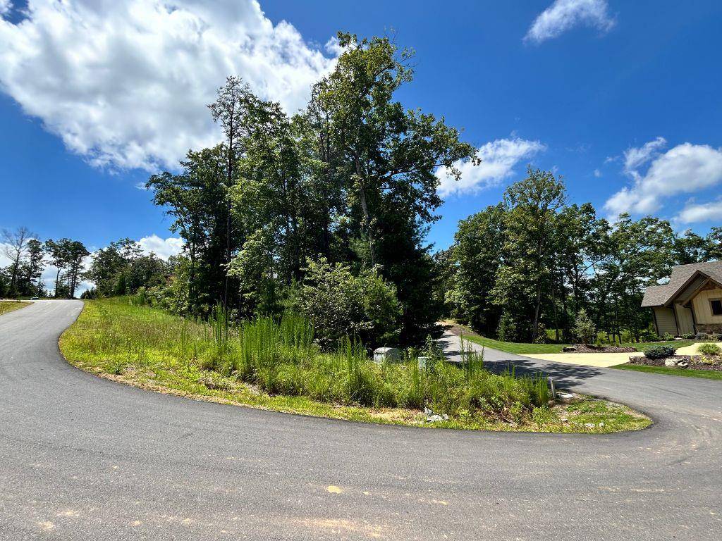 Mineral Bluff, GA 30559,Lot 59 Old Toccoa Loop