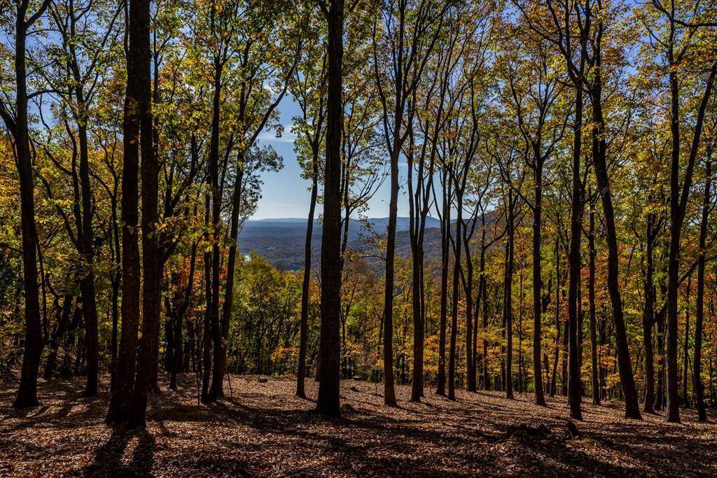 Jasper, GA 30143,40.5 ac Windsong
