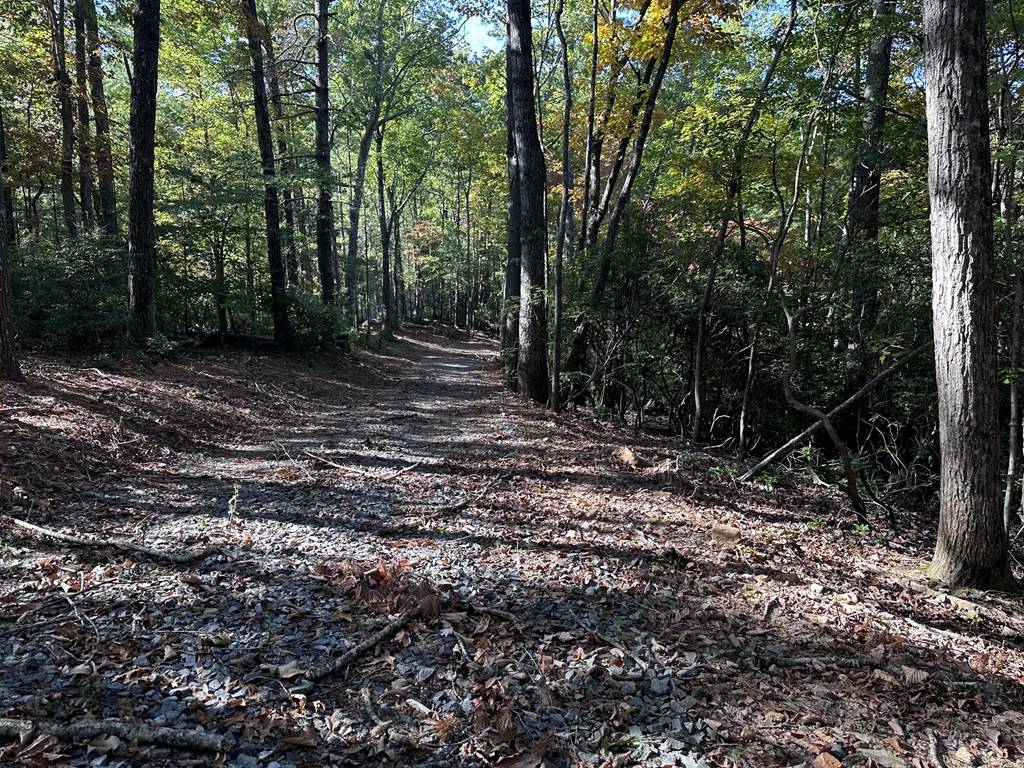 Ellijay, GA 30536,TR3 Turniptown Road