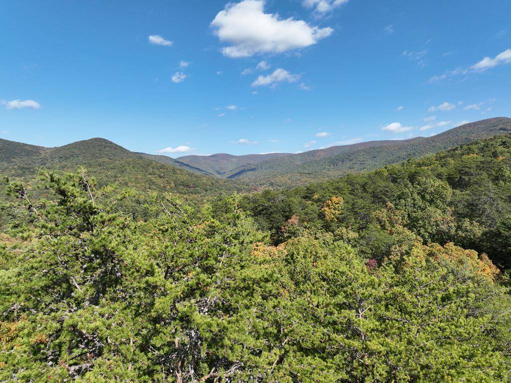 Ellijay, GA 30536,Tract 2 Turniptown Road
