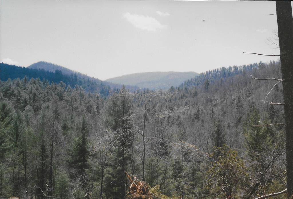 Hiawassee, GA 30546,Lot 67 Hi River Country