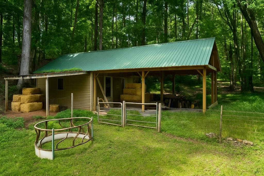 Ellijay, GA 30536,284 Tickanetley Road