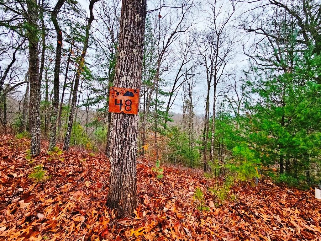 Murphy, NC 28906,Lot 48 Wayah Ridge