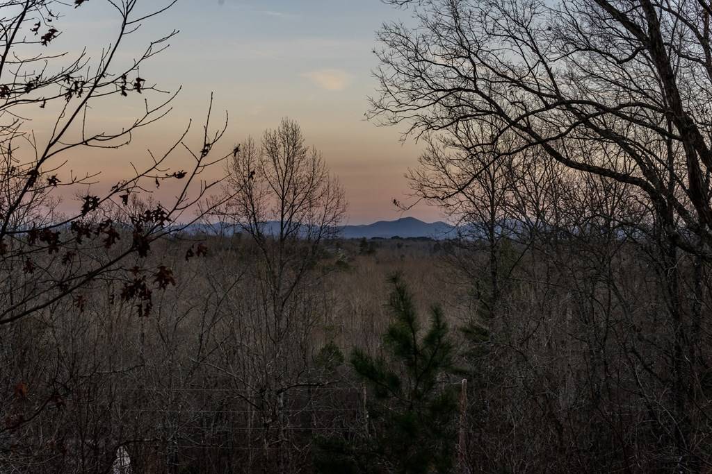Mineral Bluff, GA 30559,43 Logan Drive