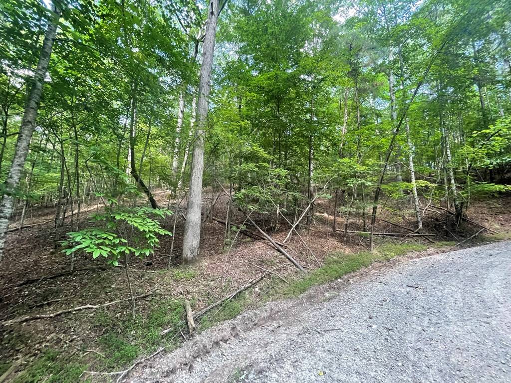 Ellijay, GA 30540,Lot 3279 Haven Court