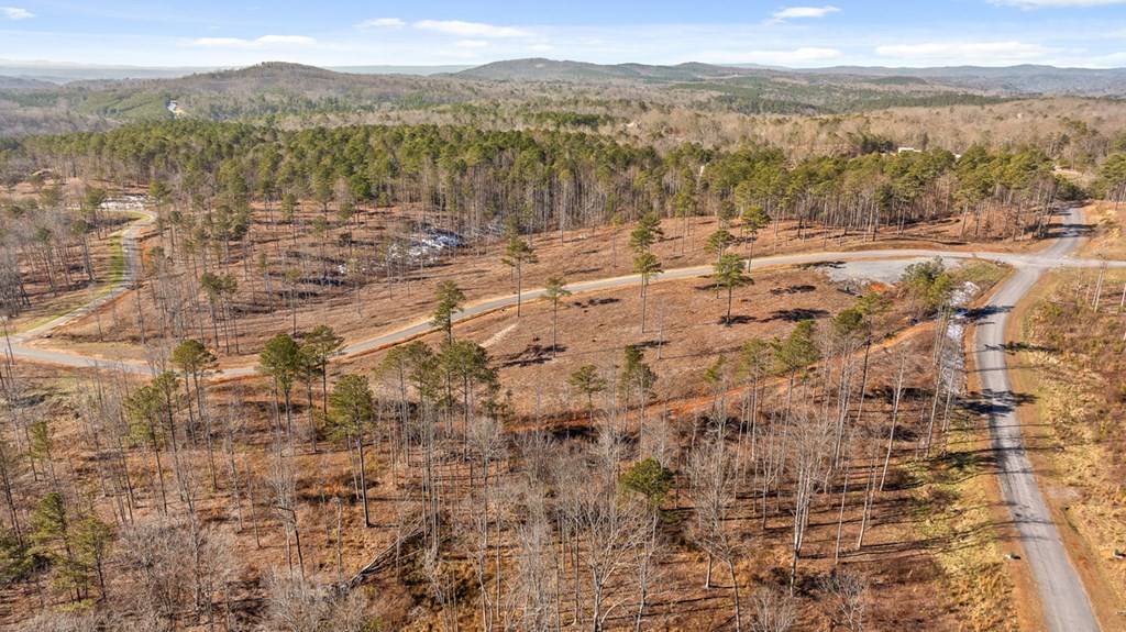 Talking Rock, GA 30175,Lot 293 Twisted Oak Road