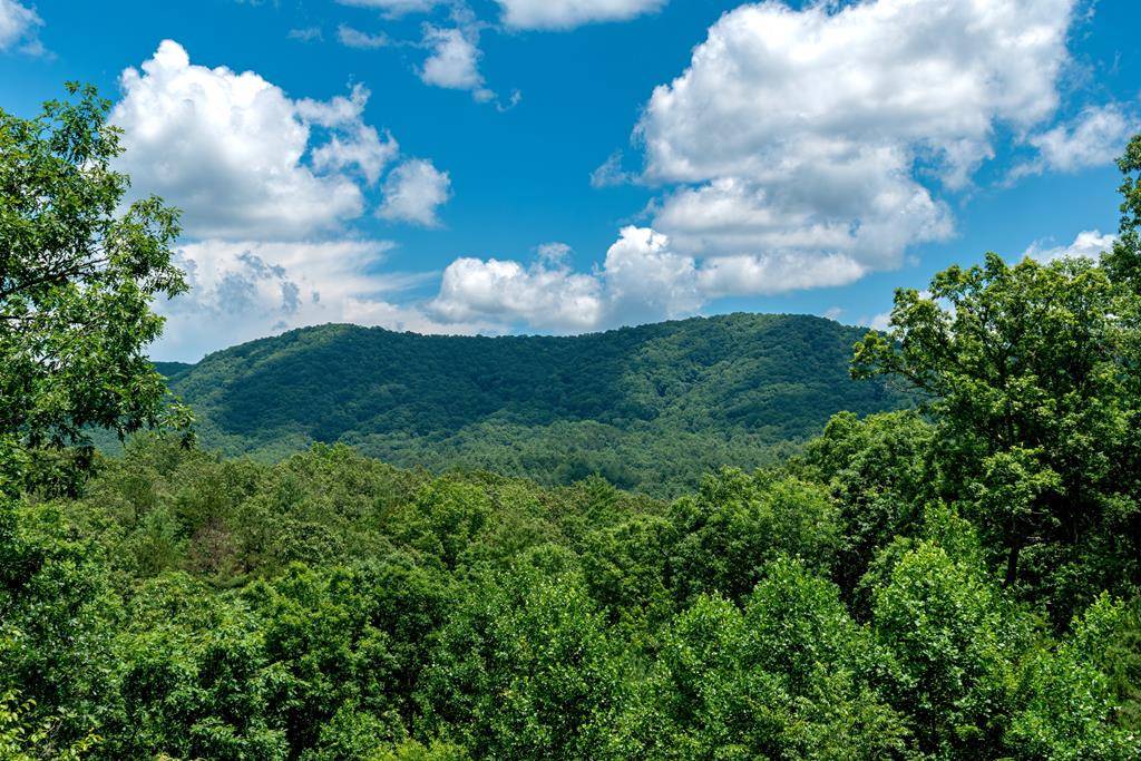 Mineral Bluff, GA 30559,1023 Knollwood Road