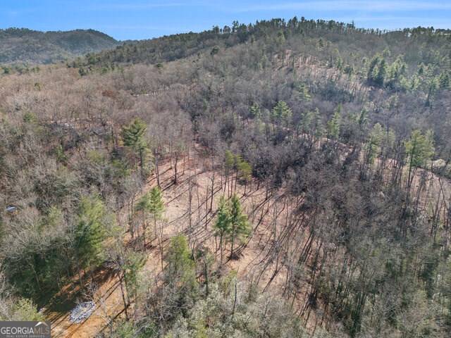 Clayton, GA 30525,0 Seed Tick Road