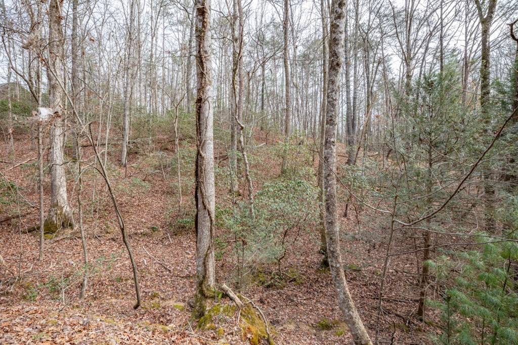 Ellijay, GA 30540,454, 455 Seneca Drive