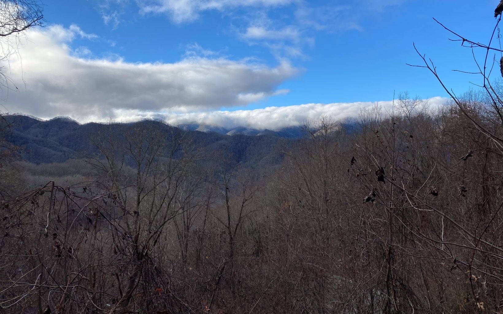 Bryson City, NC 28713,Lot J4 Buck Naked