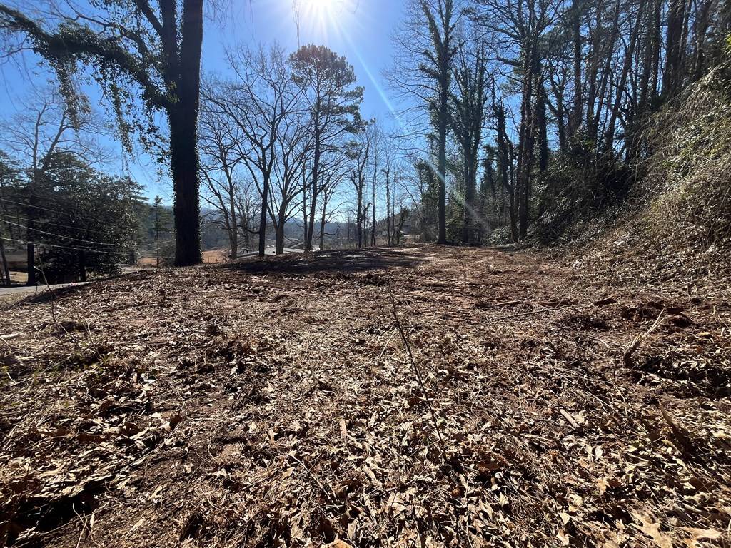 Blue Ridge, GA 30513,59 Bradley Street