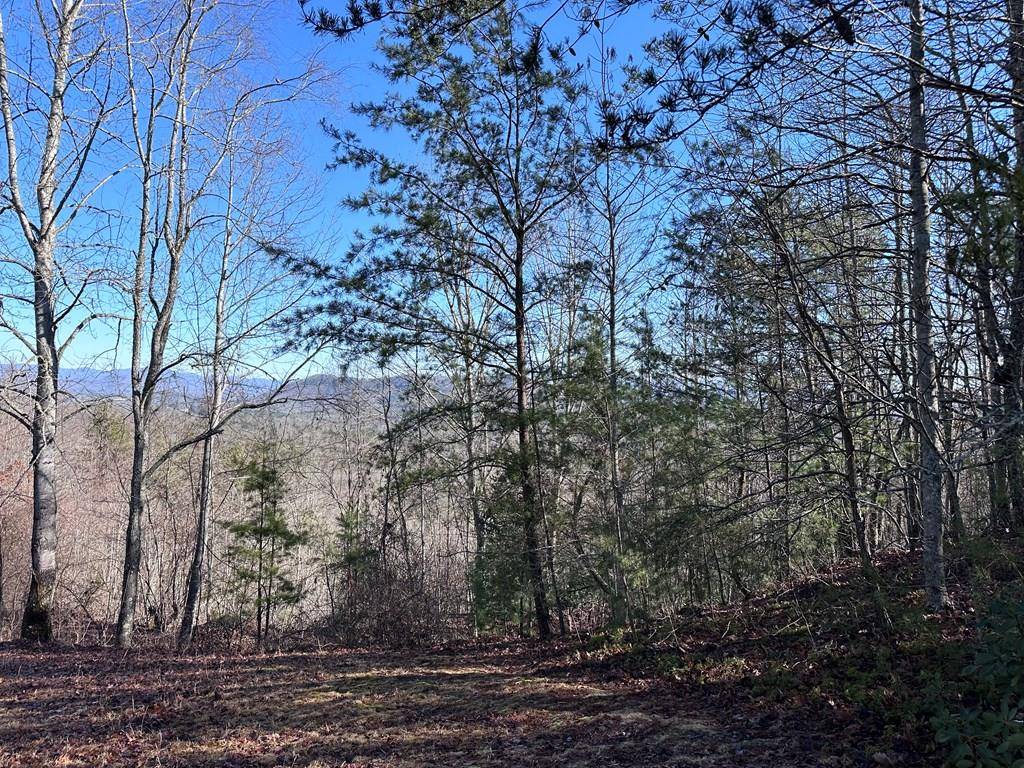 Murphy, NC 28906,Lot 1 Sunset Lane
