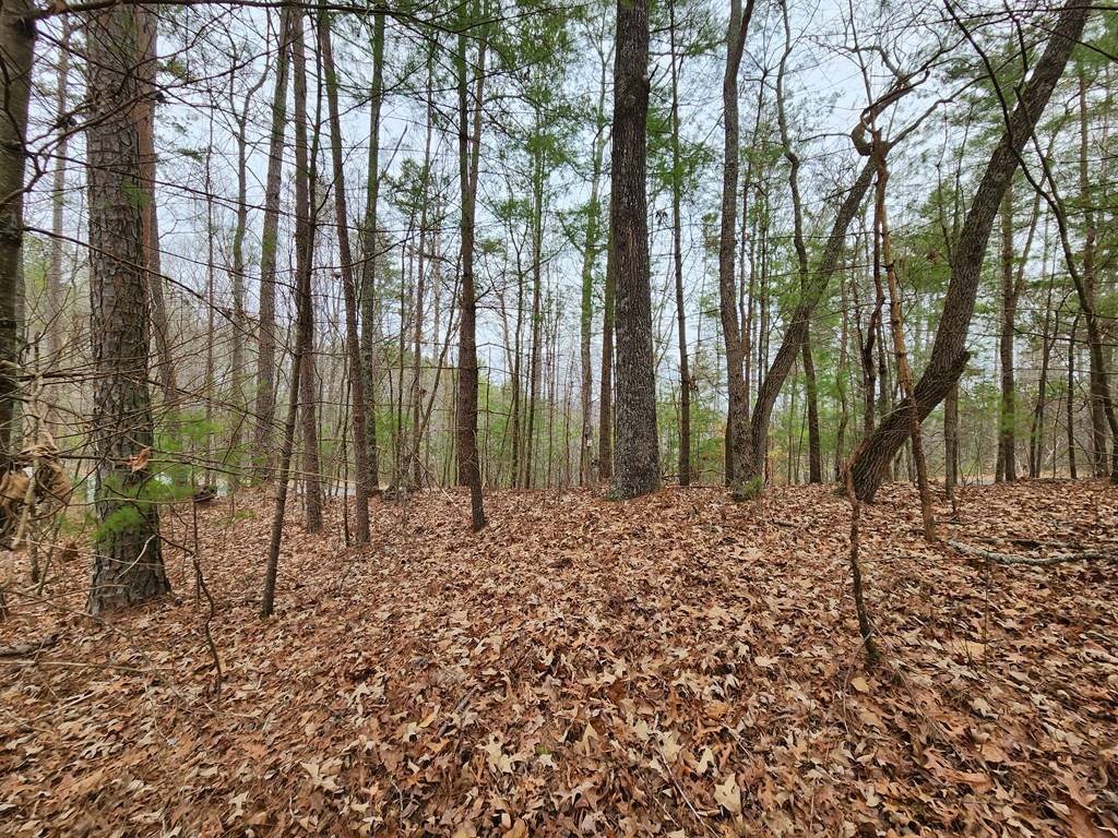 Talking Rock, GA 30175,Lot 1665 Hunter Drive