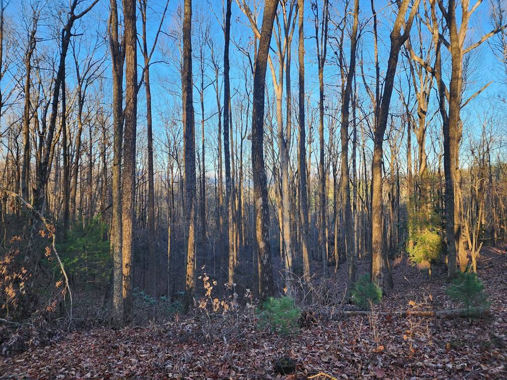 Ellijay, GA 30540,Lot 390 Walhalla Court