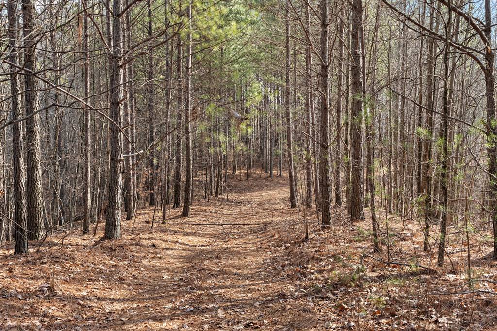 Ellijay, GA 30540,172.02AC Hwy 382