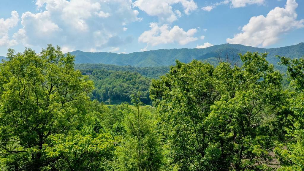 Andrews, NC 28901,52 Bear Track Road