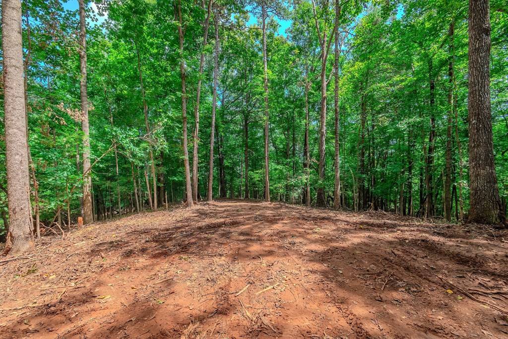 Cleveland, GA 30528,21.05 Ashley Drive