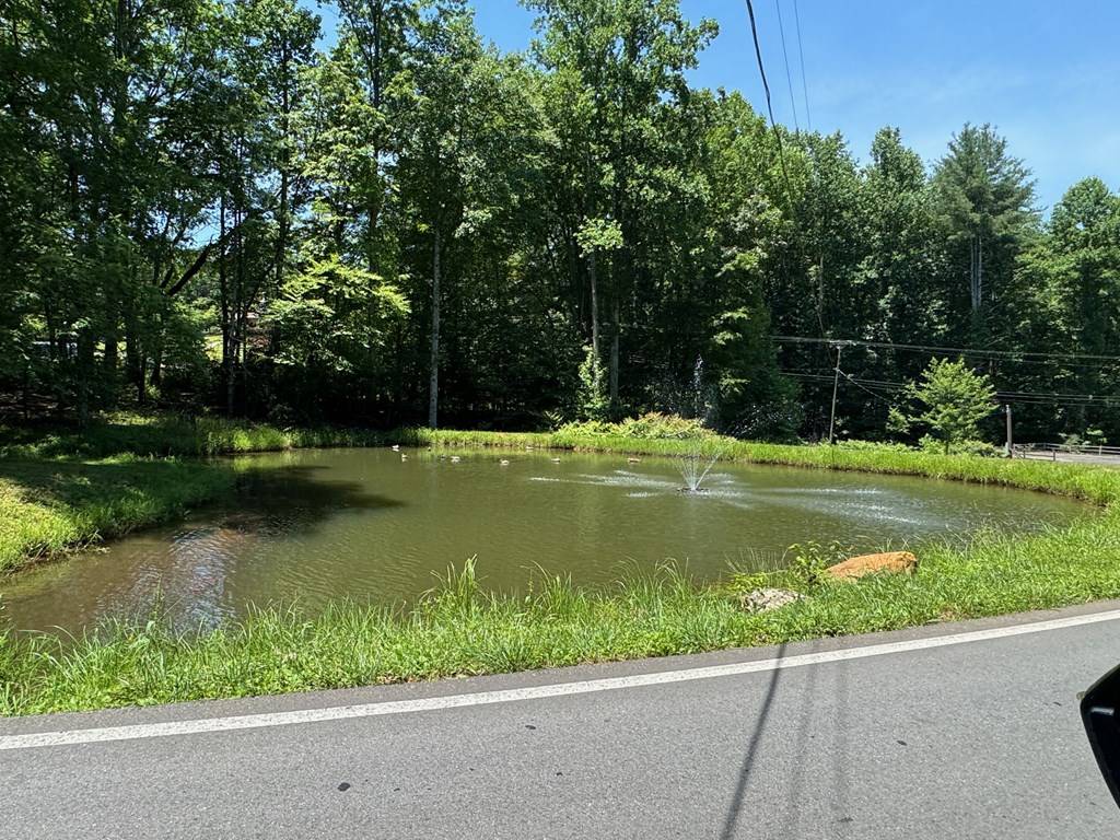 Ellijay, GA 30540,Address not disclosed