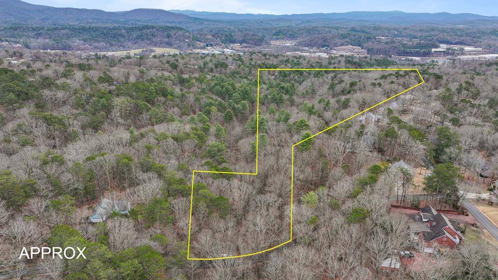 Ellijay, GA 30540,00 Timberland Drive