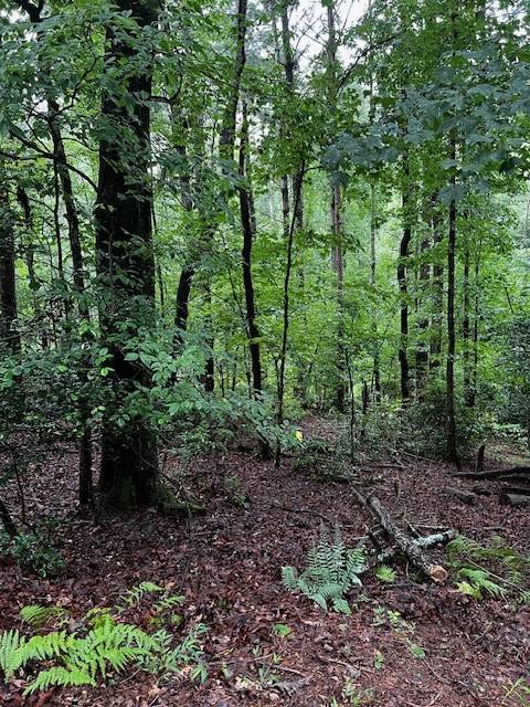 Ellijay, GA 30540,Lot 288 Etowah Drive
