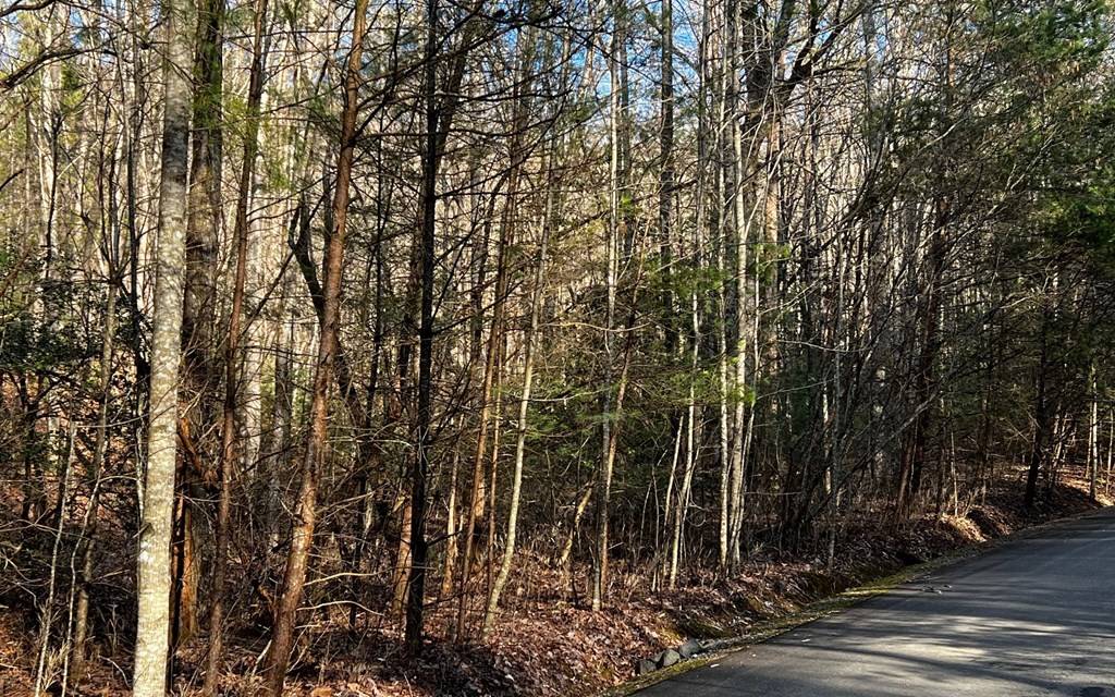 Ellijay, GA 30540,Lot 32 Oceola Drive