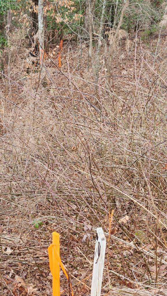 Ellijay, GA 30540,Lot 78 Jakes Landing Way