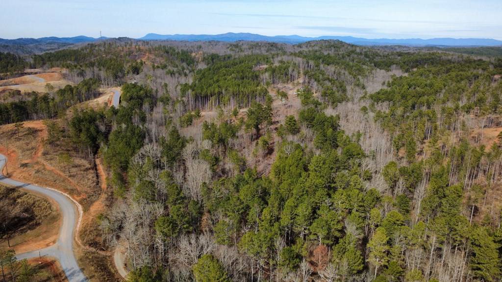 Talking Rock, GA 30175,Lot 108 Blalock Mountain Road