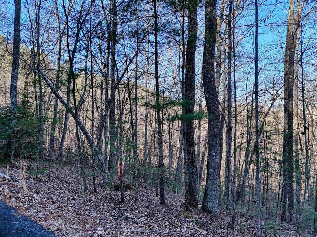 Blairsville, GA 30512,Lot 27 Highland Falls