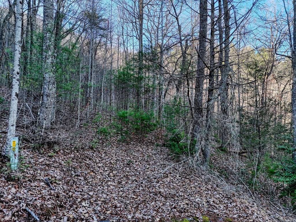 Blairsville, GA 30512,Lot 28 Highland Falls