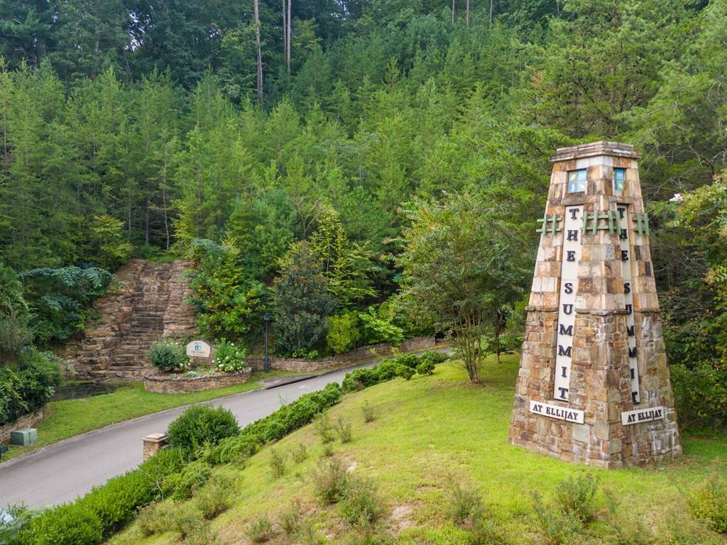 Ellijay, GA 30540,110 Pinnacle Way