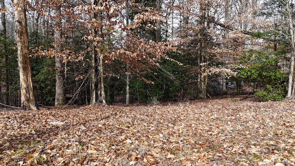 Murphy, NC 28906,1950 Culberson Road
