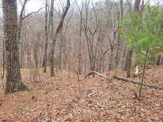 Ranger, GA 30734,131 Adair Drive