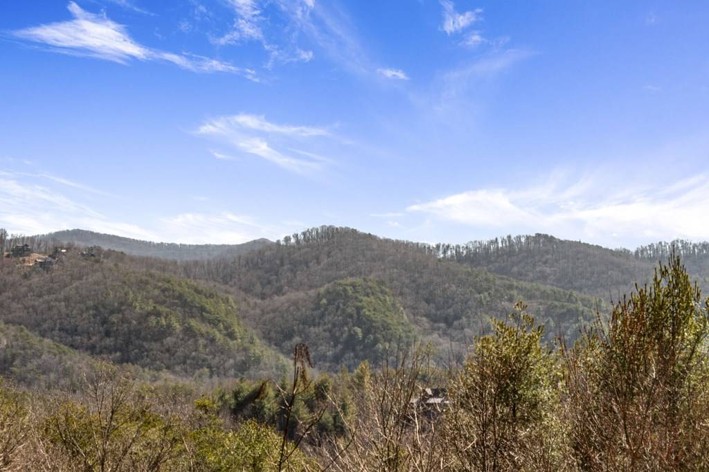 Blue Ridge, GA 30513,399 Dream Catcher