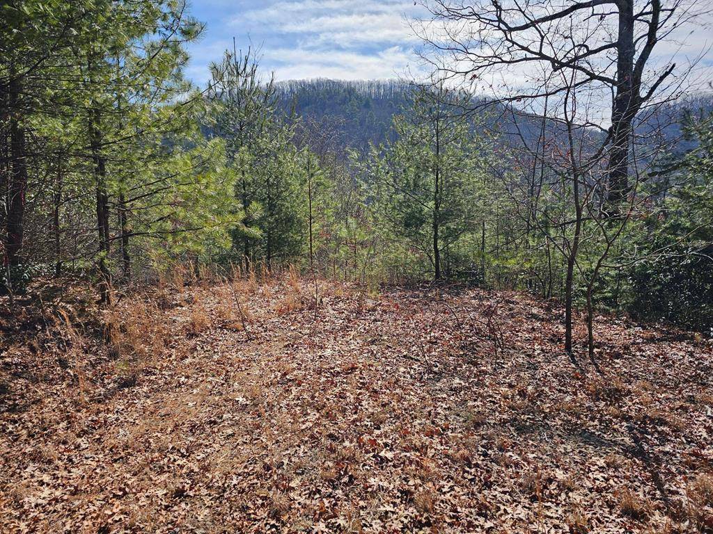 Murphy, NC 28906,51 Kudzu Creek Trail