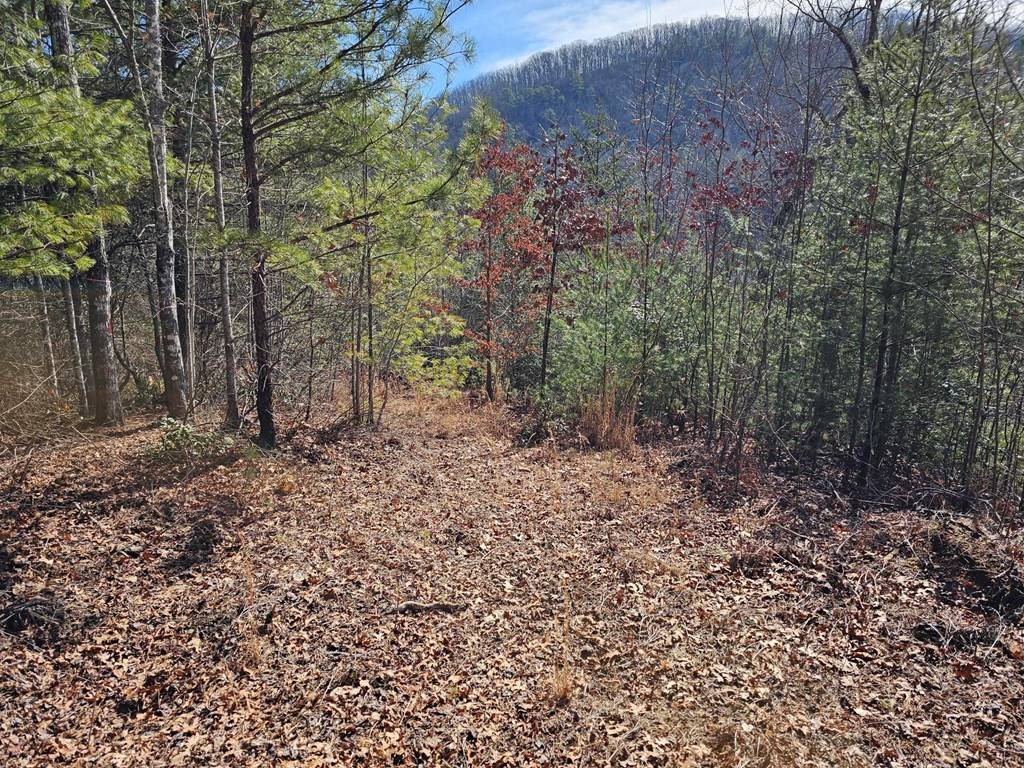 Murphy, NC 28906,51 Kudzu Creek Trail