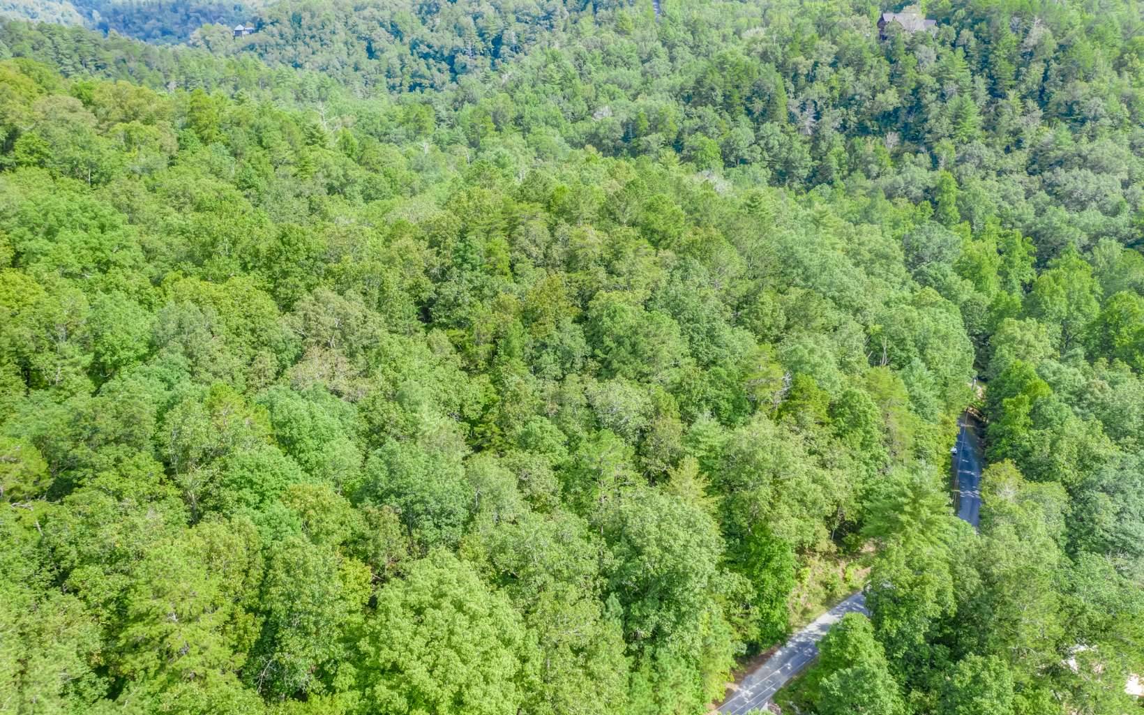Talking Rock, GA 30734,1609 Carmen Way