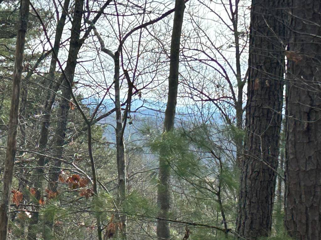 Murphy, NC 28906,0 Ruthe Ridge Lane