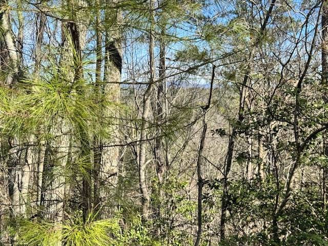Ellijay, GA 30540,Lot 1198 Lancer Court