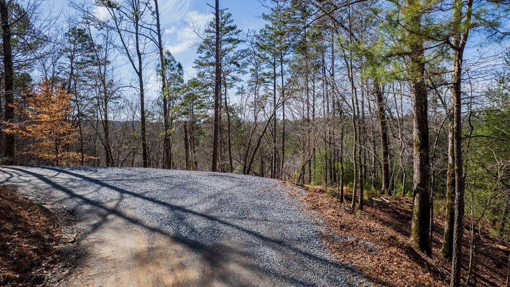 Ellijay, GA 30540,324 Parody Circle