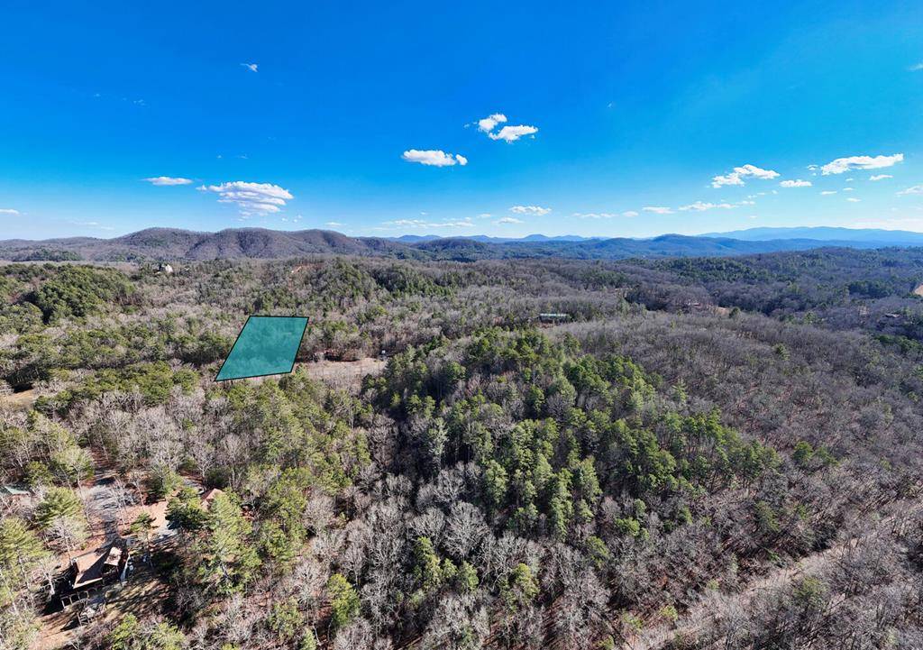 Mineral Bluff, GA 30559,0.0 Murphy Hwy